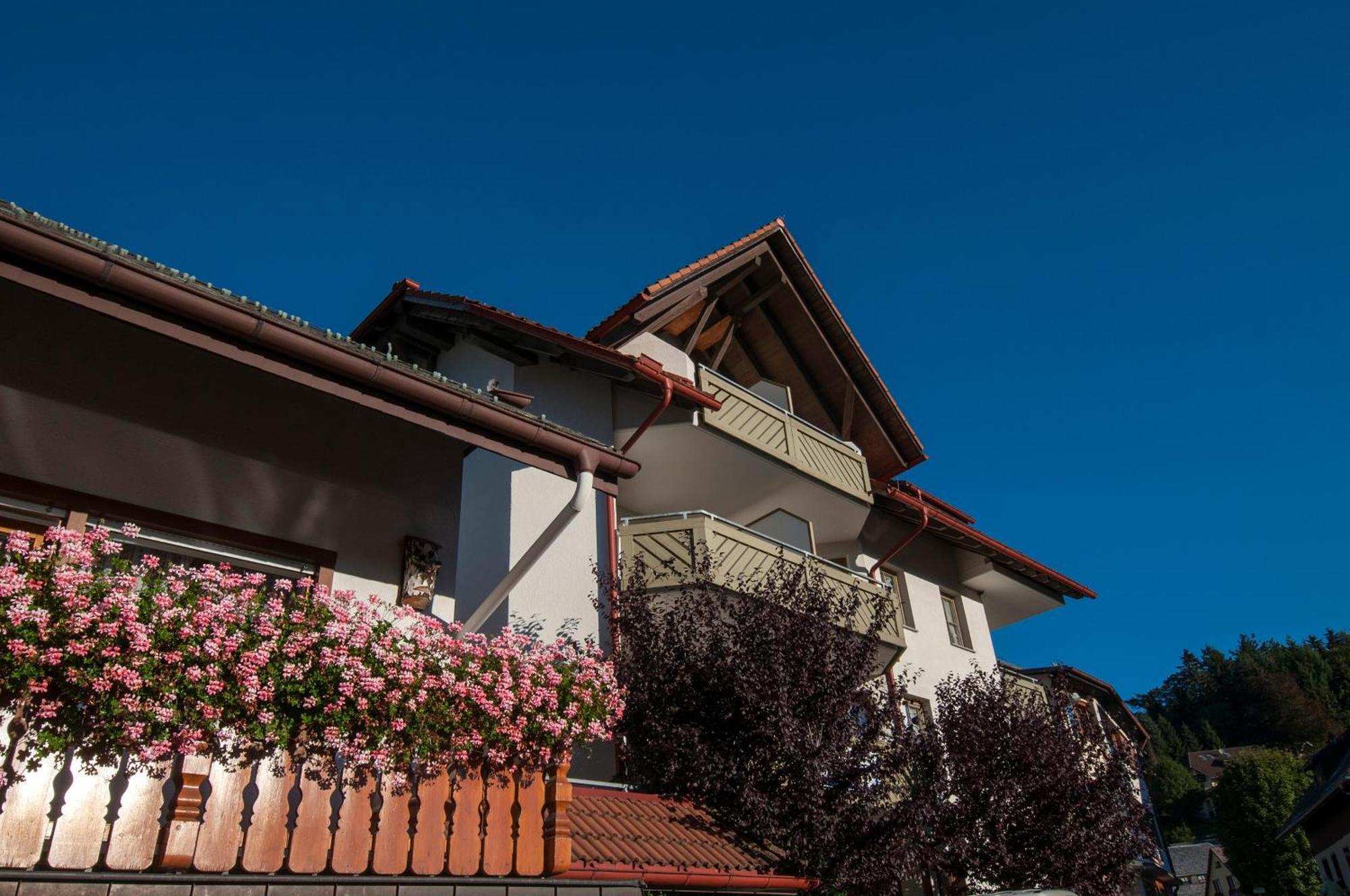 Apartment 13 - Ferienresidenz Roseneck, Mit Schwimmbad In Todtnauberg Bei Feldberg Luaran gambar