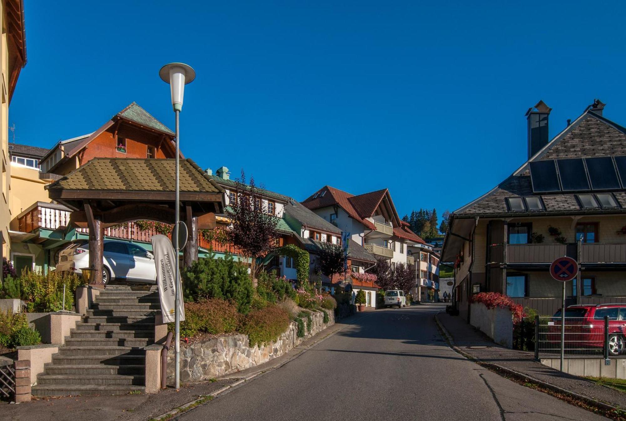 Apartment 13 - Ferienresidenz Roseneck, Mit Schwimmbad In Todtnauberg Bei Feldberg Luaran gambar