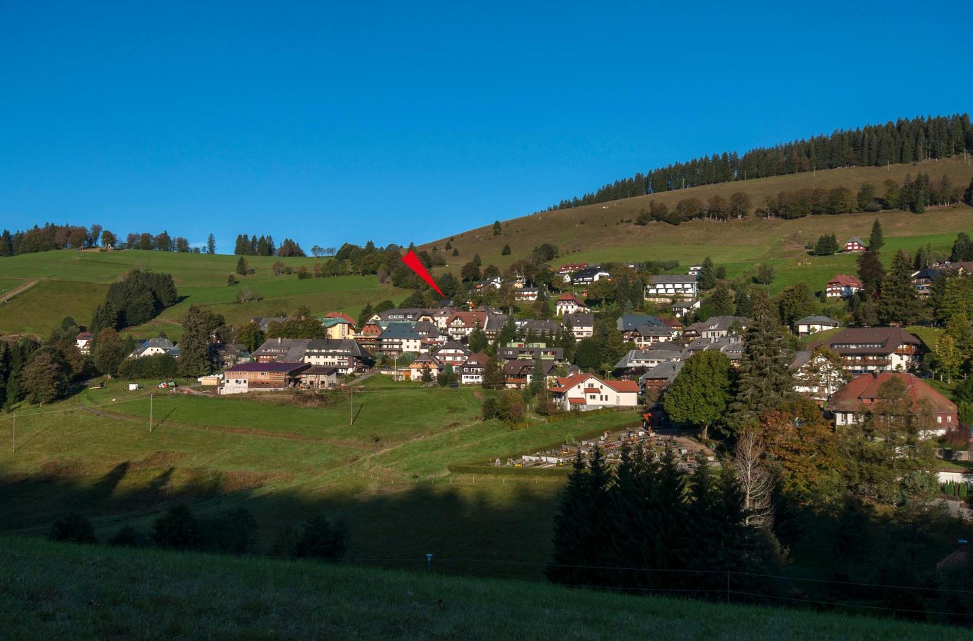 Apartment 13 - Ferienresidenz Roseneck, Mit Schwimmbad In Todtnauberg Bei Feldberg Luaran gambar